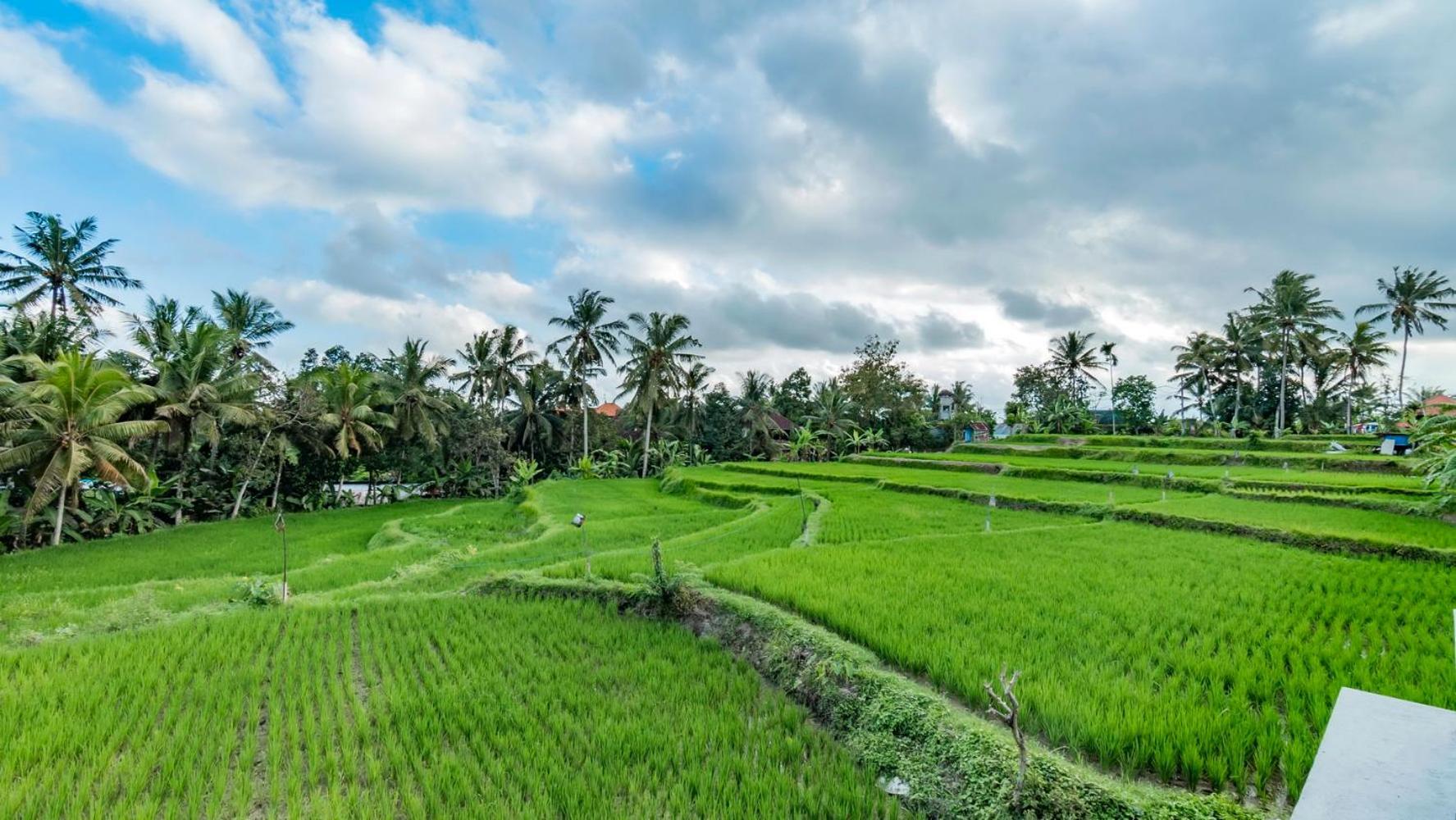 As I Am Ubud Retreat Eksteriør billede
